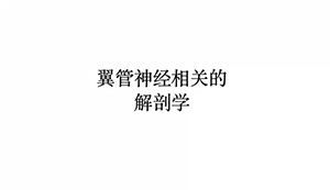 《翼管神经切断术的原理与实践》解剖视频